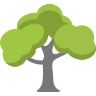 Leander Tree Trimming Service