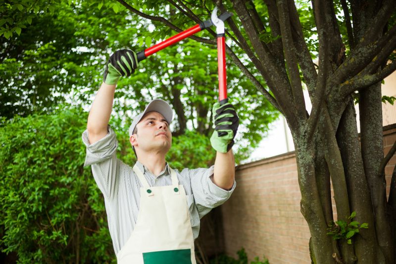 Tree Maintenance Tools